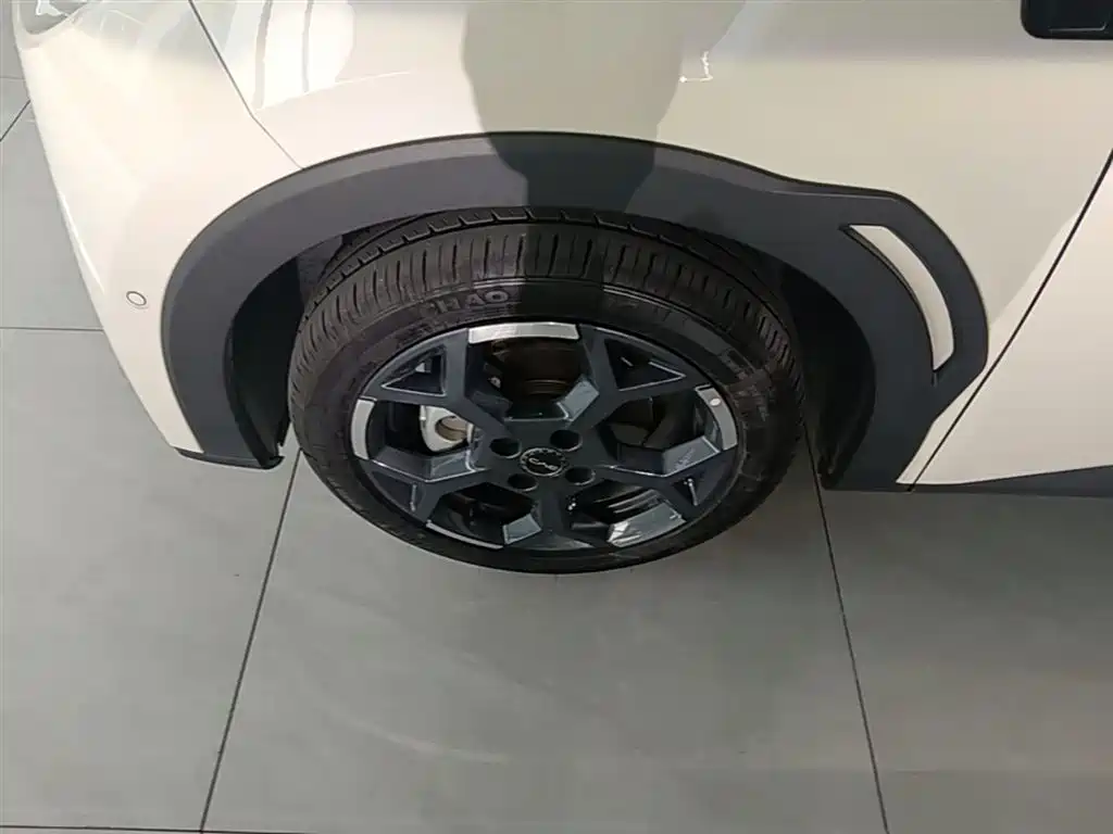 BYD Seagull 2025 Smart Drive Edition 305km Freedom Version фото 23