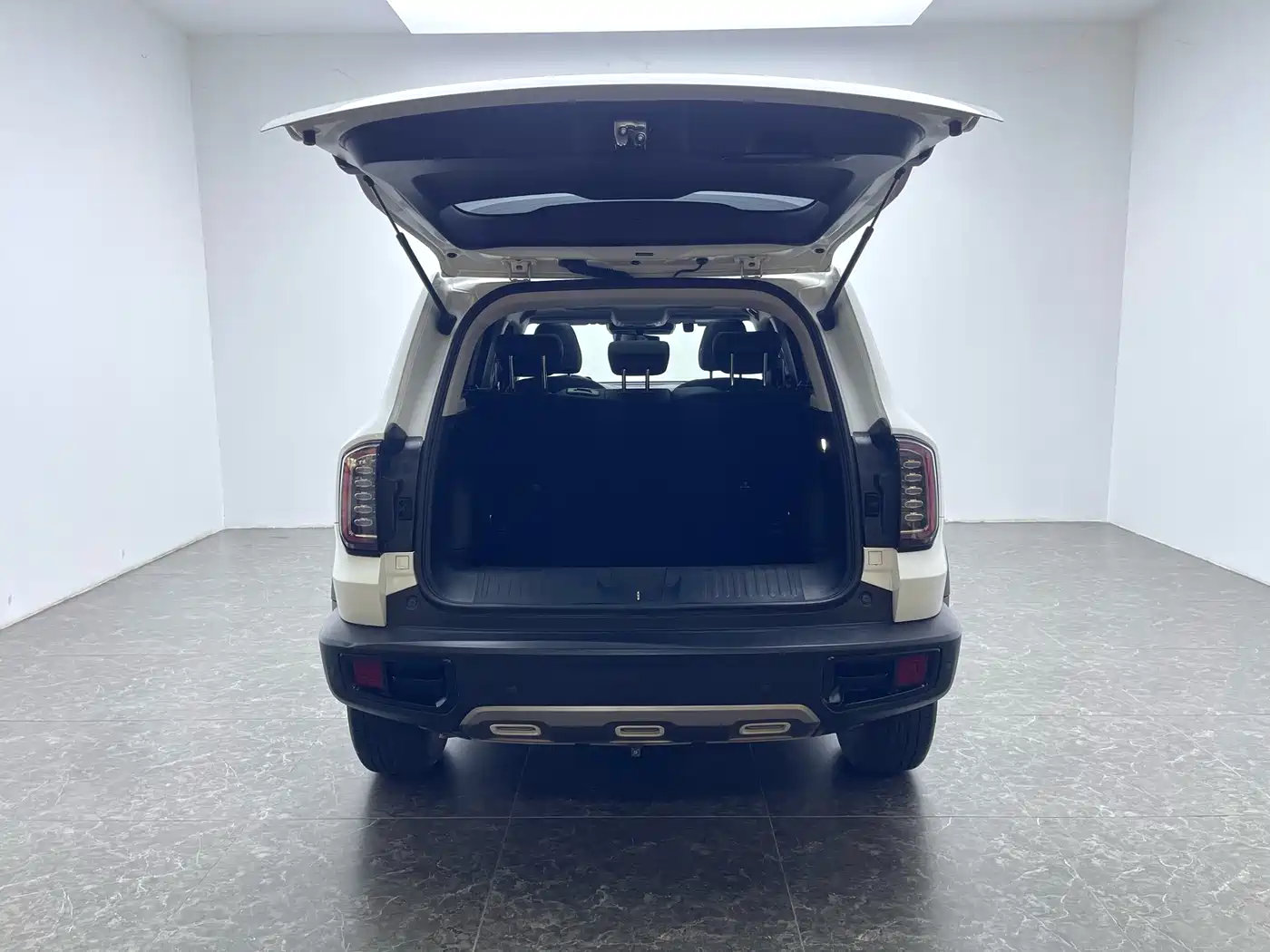 Haval Big Dog 2021 1.5T DCT 2WD Labrador Edition фото 6