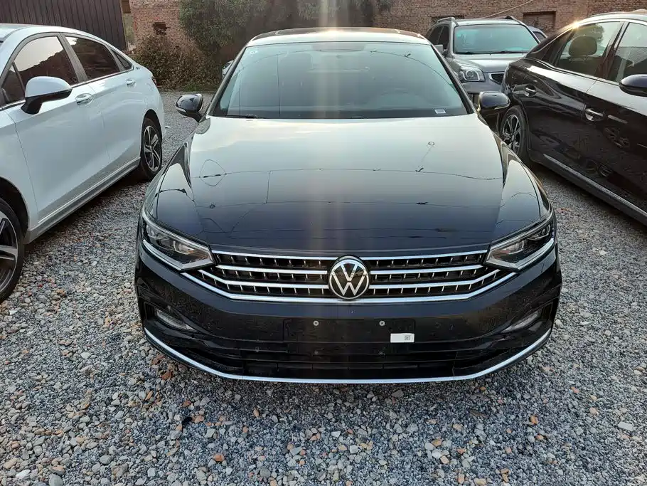 Volkswagen Magotan, миниатюра 2