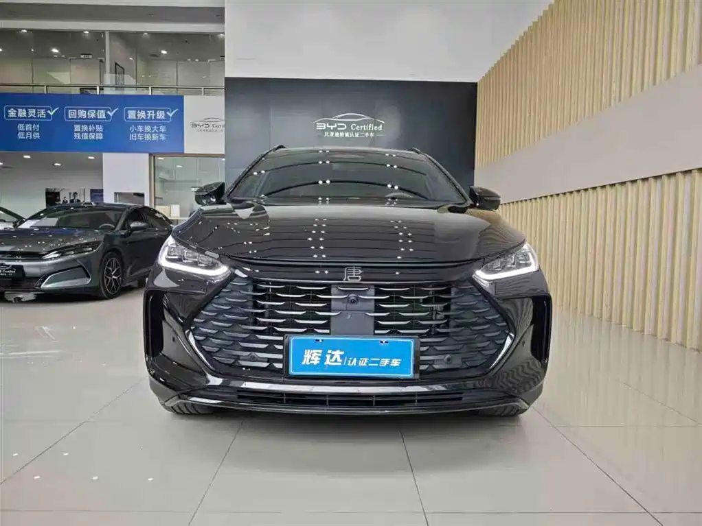 BYD Tang New Energy 2026 Smart Drive Edition DM-i 160KM Premium фото 2