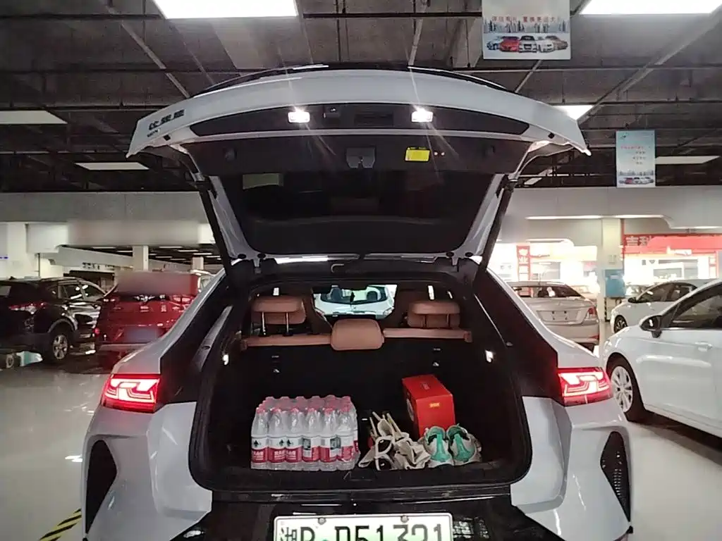 BYD Song L EV 2024 2024 550km Surpassing Type