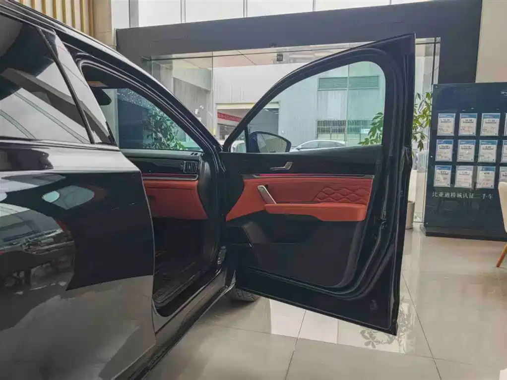 BYD Tang New Energy 2026 Smart Drive Edition DM-i 160KM Premium фото 12