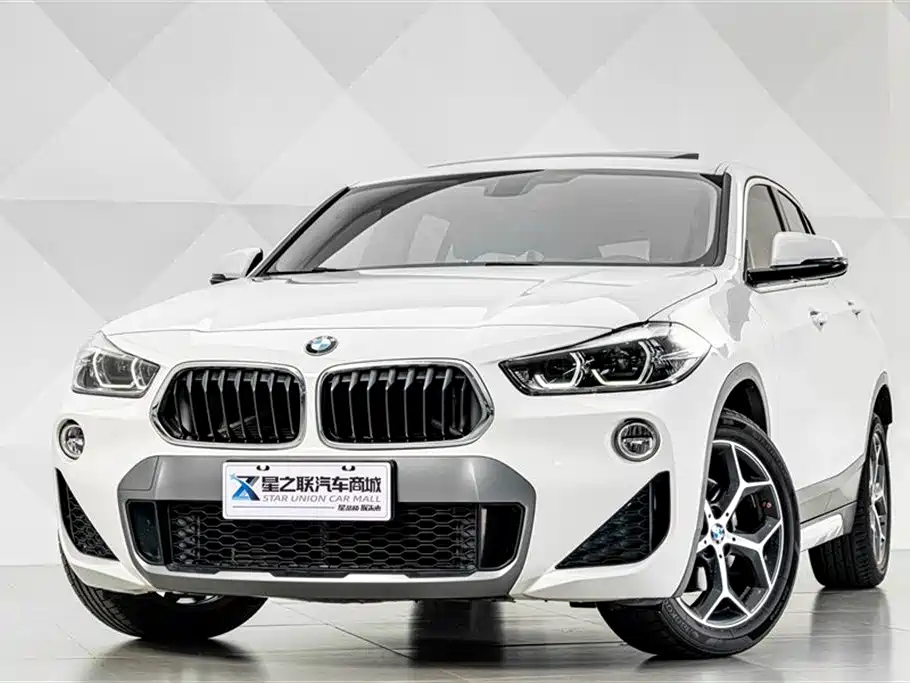 BMW X2 (Import) 2019 sDrive20i M Off-Road Package China VI фото 3