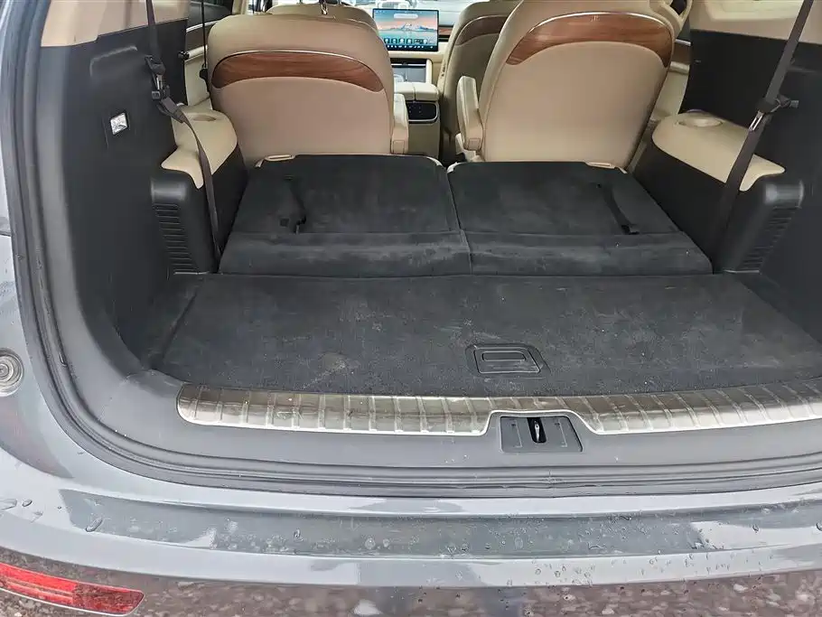 AITO Wenjie AITO M7 2022 1.5T RWD Comfort Edition фото 4