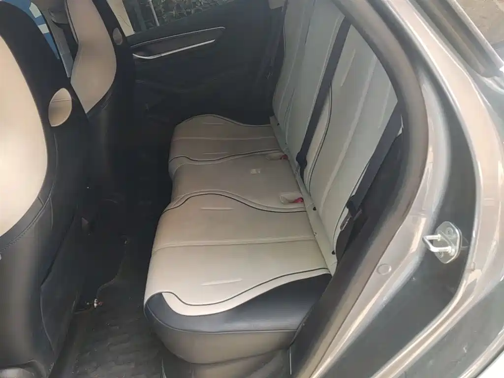 BYD Destroyer 05 2024 Glory Edition DM-i 55KM Luxury фото 17