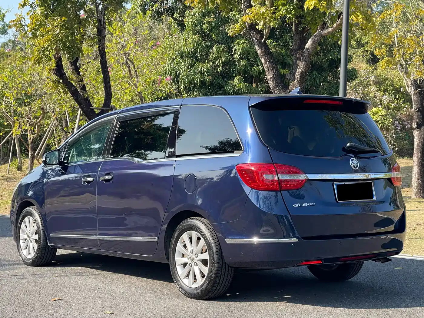 Buick GL8 2014 2.4L LT Luxury Business Executive фото 8
