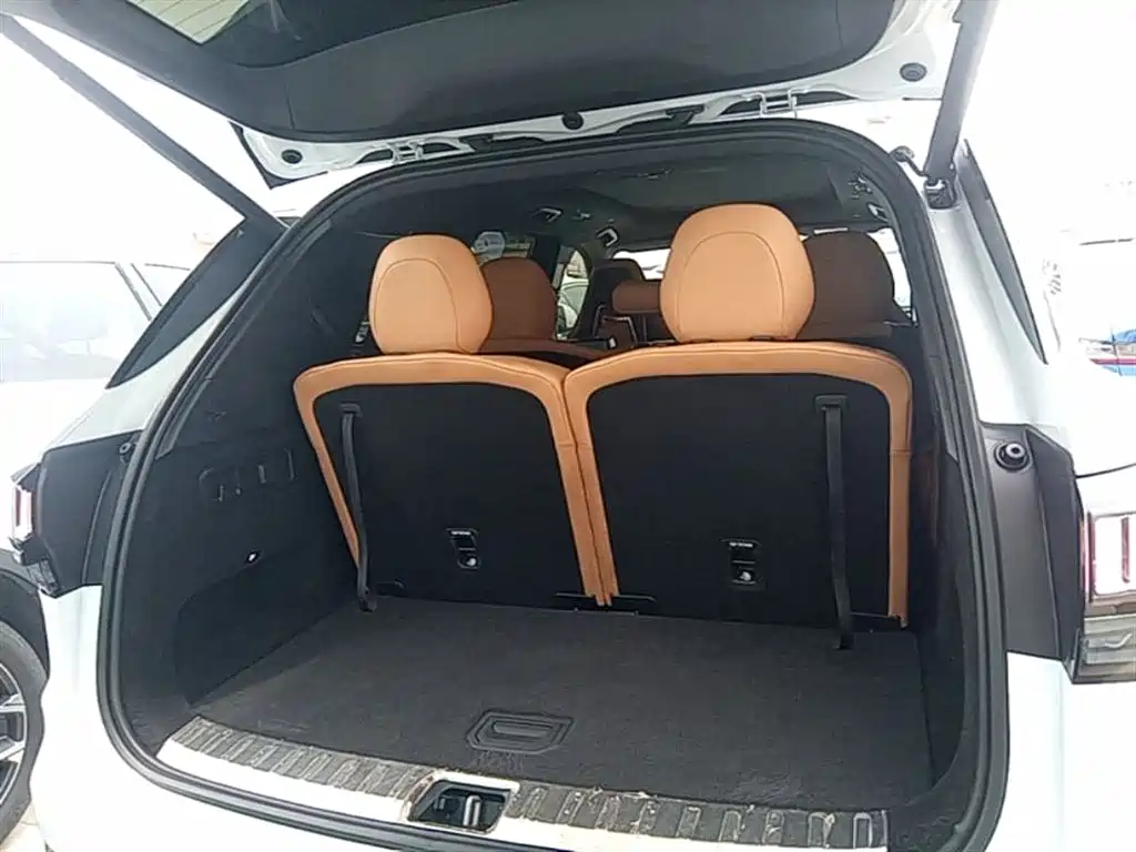 Lynk & Co 09 EM-P 2023 2.0TD EM-P Voyage PM 7-Seater фото 19