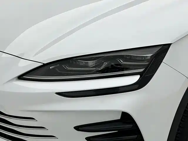 BYD Song PLUS PHEV 2023 Champion Edition DM-i 150KM Flagship PLUS фото 13