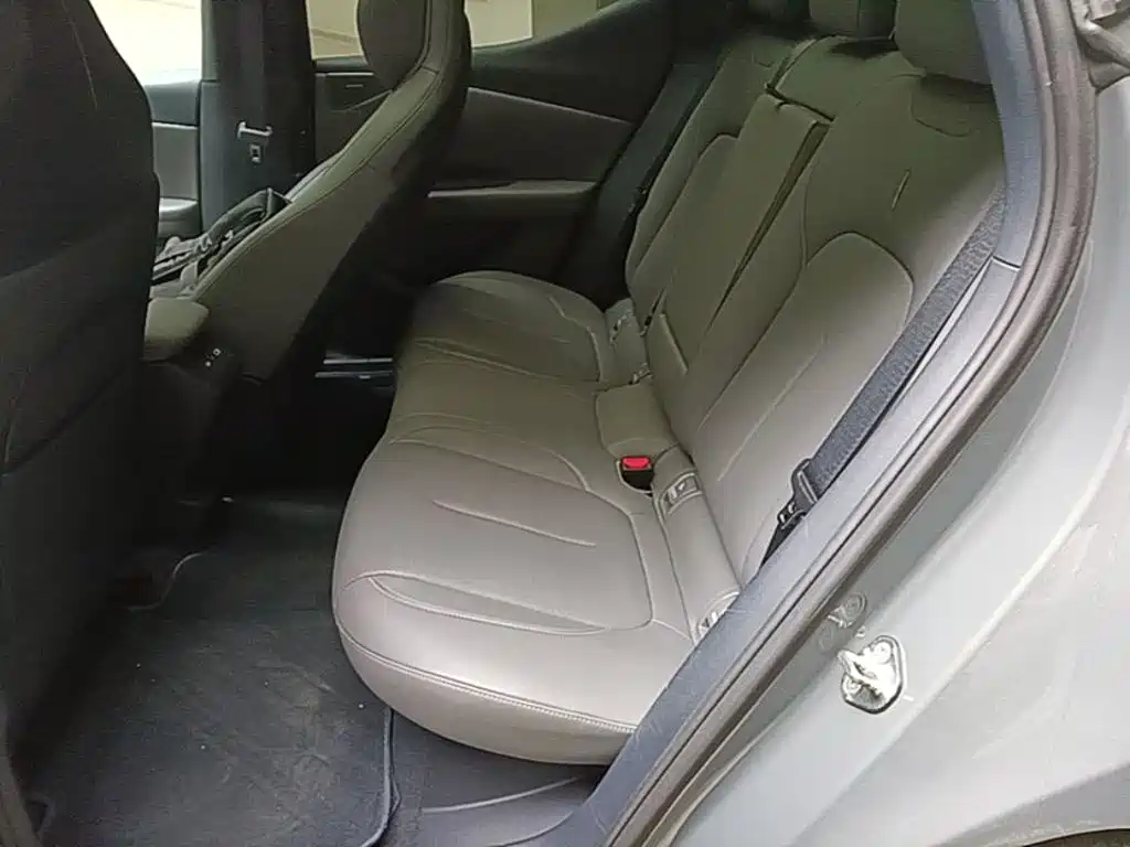 Lynk & Co Z20 2025 2025 530km RWD Max