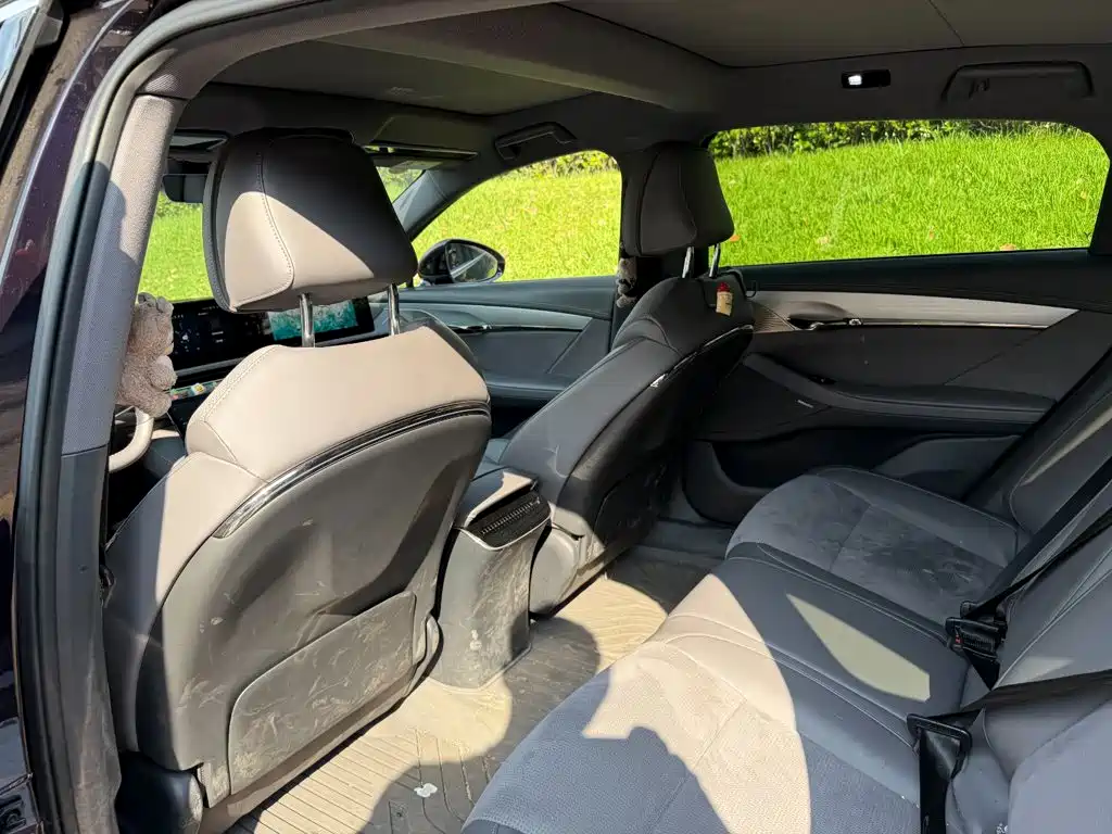 Voyah Passion 2024 2024 PHEV AWD Ultra-long Range Executive Edition