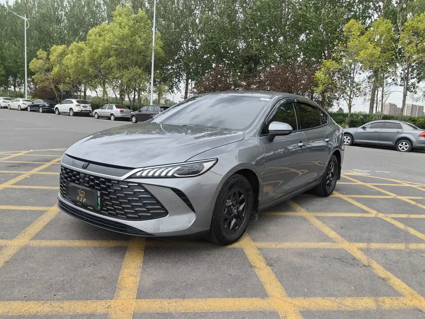 BYD Qin PLUS 2025 DM-i Smart Drive 55KM Leader