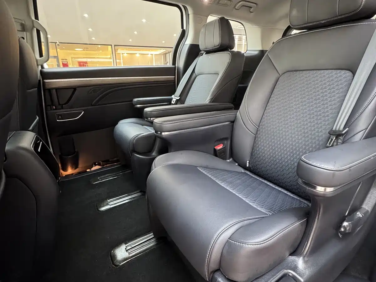 GAC Trumpchi Trumpchi M8 2025 2024 Leadershow Series 390T Luxury Edition