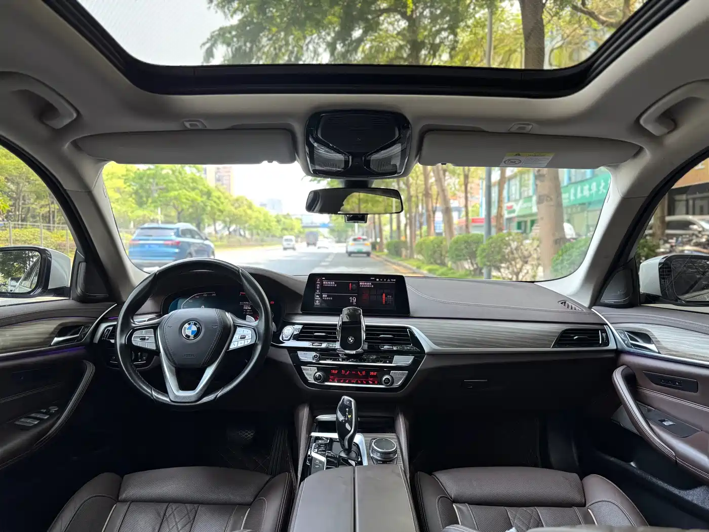 BMW 5 Series 2020 530Li Premium Luxury Package фото 8