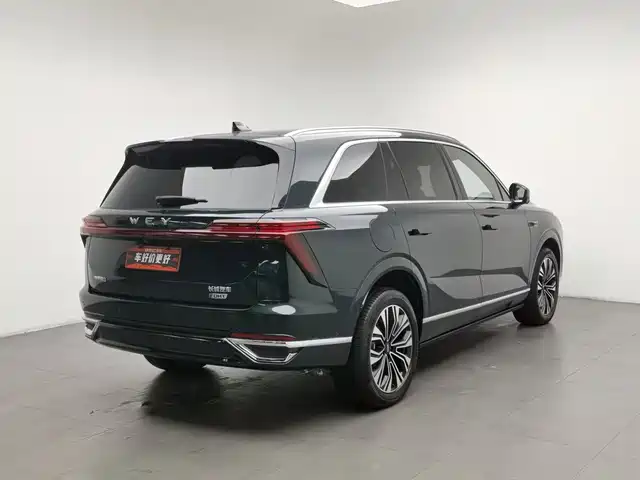 WEY Lanshan 2023 AWD Ultra Long Range Edition — фото 2