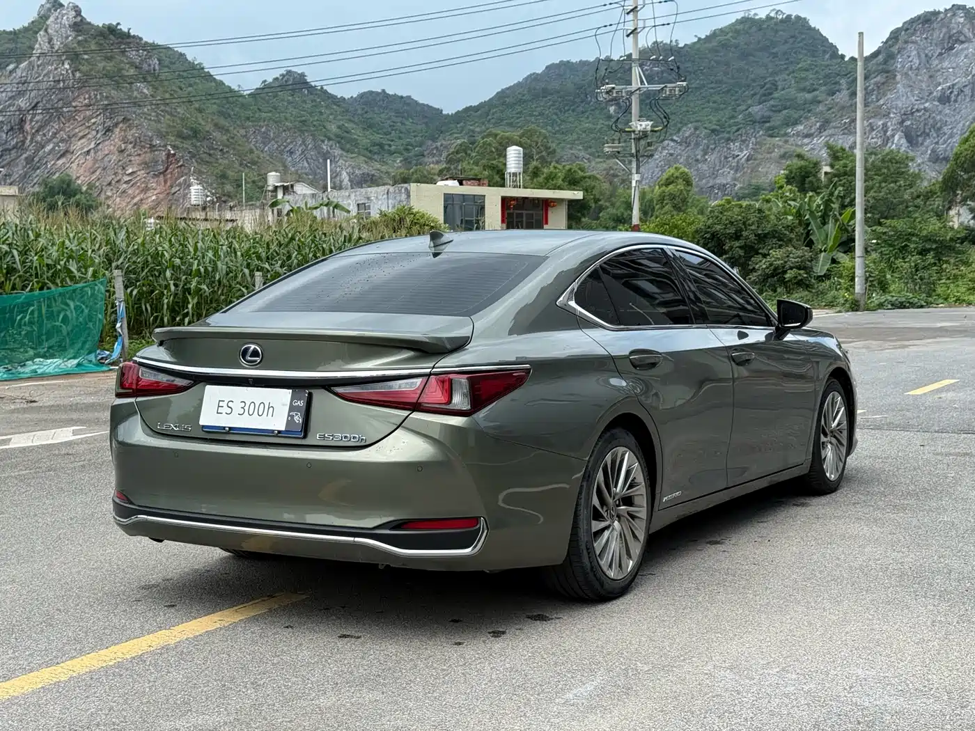 Lexus ES 2018 300h Executive Edition China V фото 9
