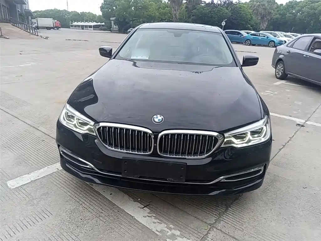 BMW 5 Series 2019 Facelift 530Li Premium Luxury Package фото 3