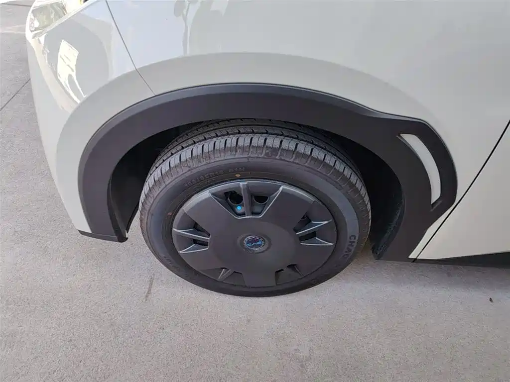 BYD Seagull 2025 Smart Drive Edition 305km Vitality Version фото 23