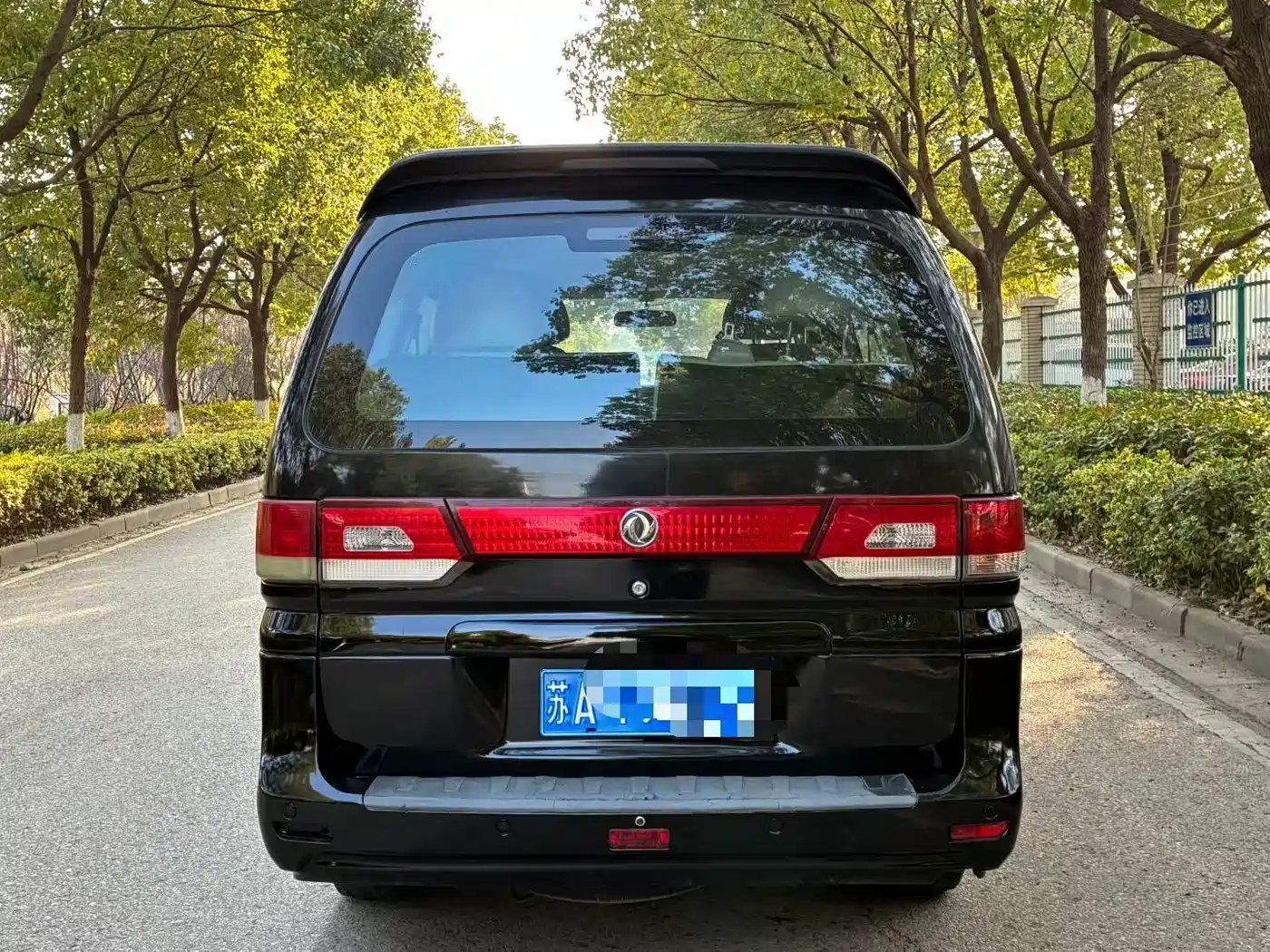 Фото 4 - Dongfeng Fengxing Lingzhi