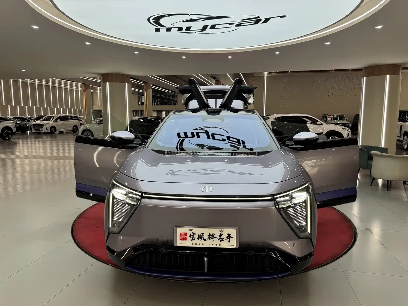 HiPhi Y 2023 2023 560km Pioneer Edition
