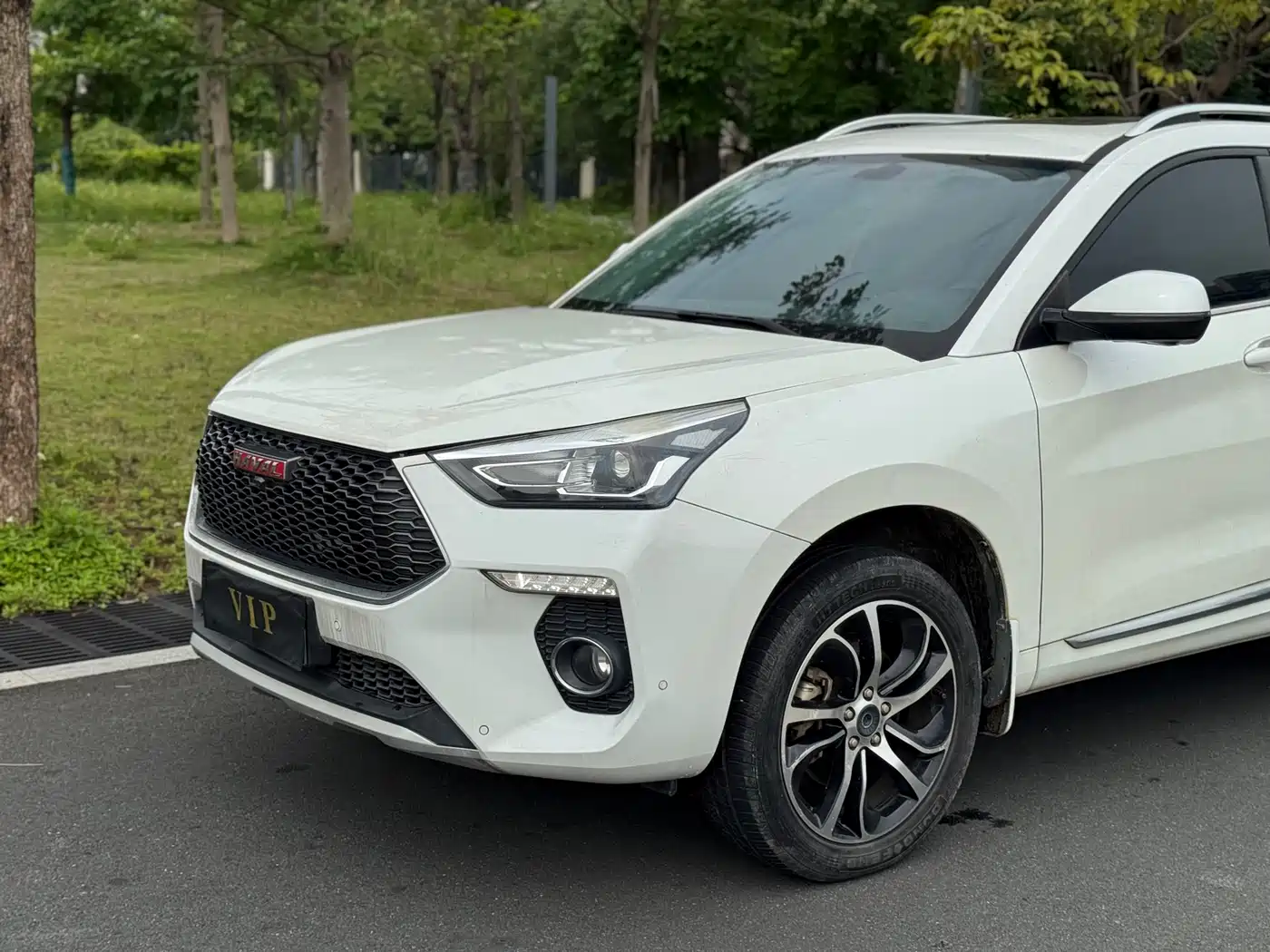 Haval H6 Coupe 2018 Red Label 1.5T Auto 2WD Ultra Luxury фото 5