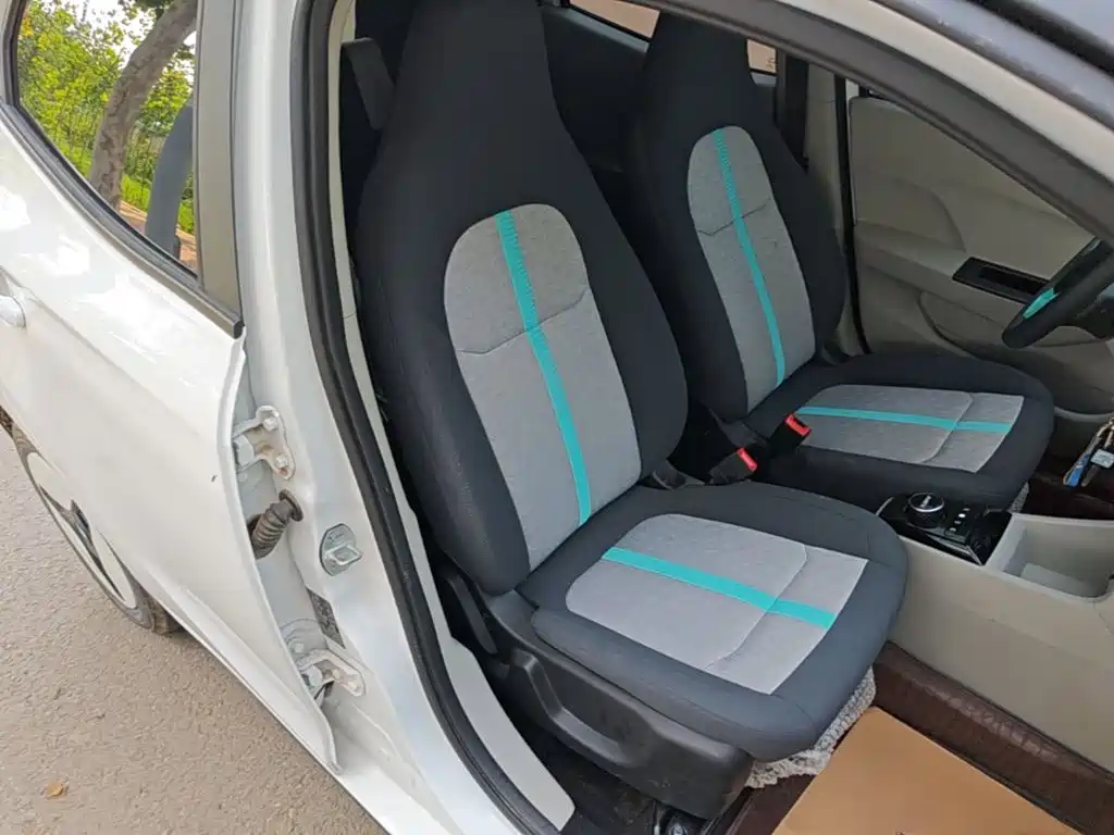 JMCG New Energy Little Kirin 2025 2024 201km Comfort Model