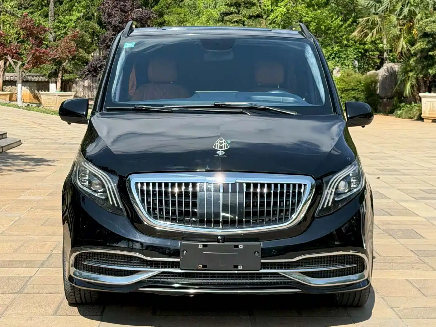 Mercedes-Benz Vito 2018 2.0T Elite 9-seater China V фото 2