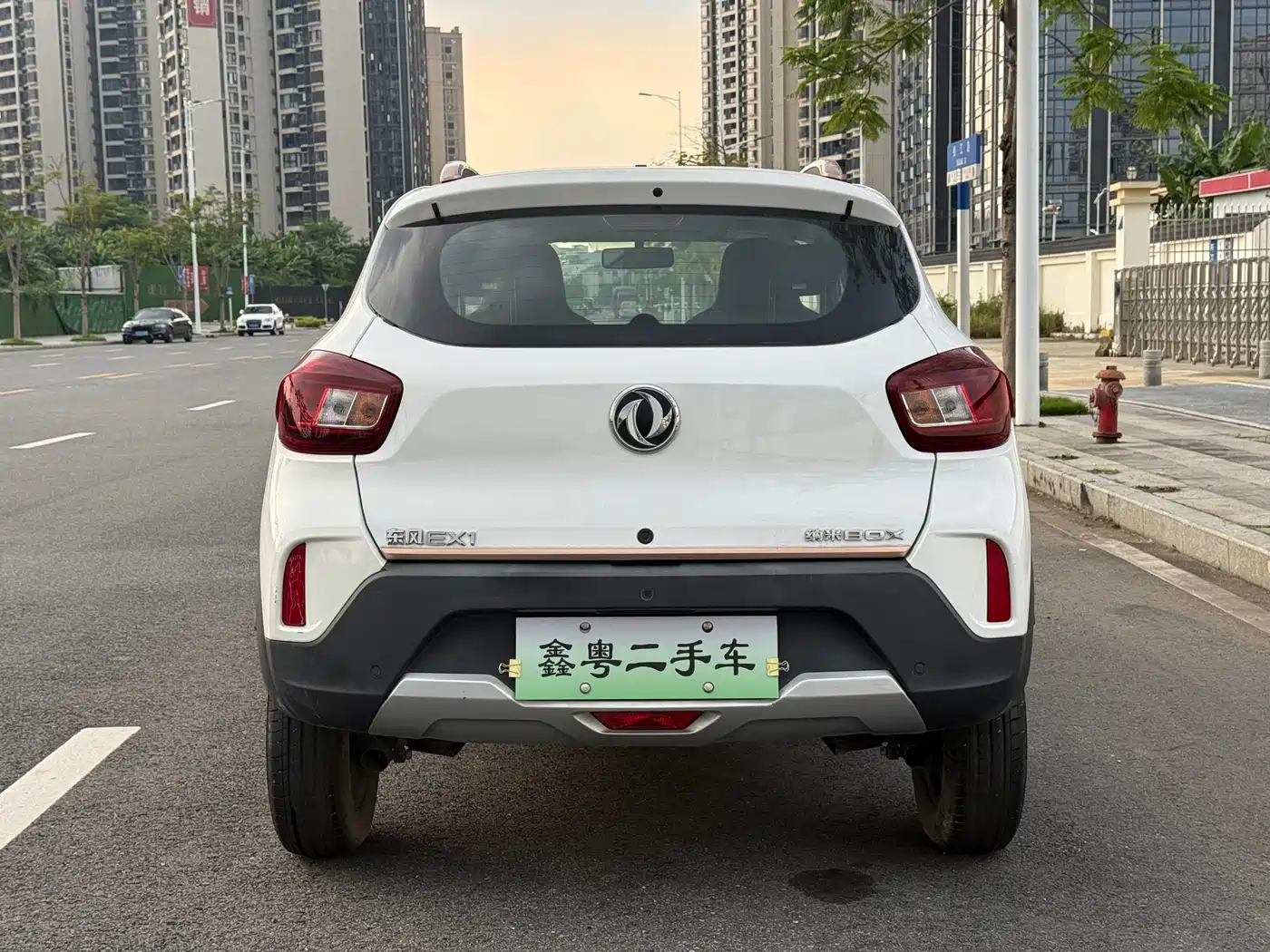 Dongfeng Yipai Nano BOX 2024 2022 Wind Chaser Edition 331KM Standard