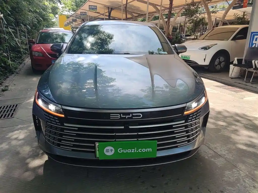 BYD Destroyer 05 2024 Glory Edition DM-i 55KM Luxury фото 3