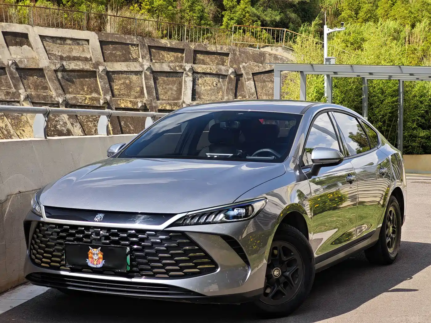 BYD Qin PLUS 2025 DM-i Smart Drive 55KM Leader