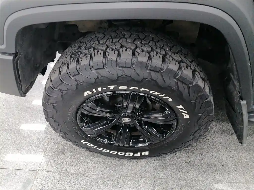 Tank 300 2023 Off-Road Edition 2.0T Conqueror фото 25
