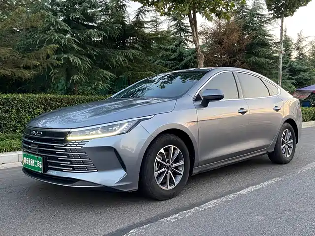 BYD Destroyer 05 2024 Glory Edition DM-i 55KM Luxury — фото 1