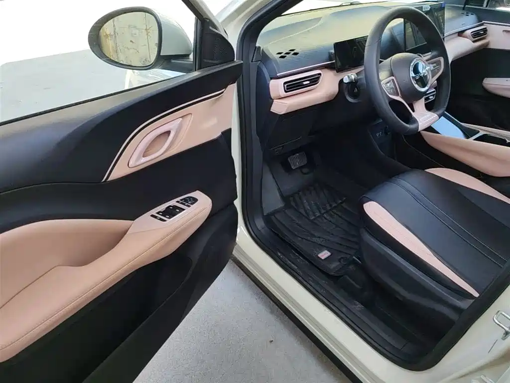 BYD Seagull 2025 Smart Drive Edition 305km Vitality Version фото 16