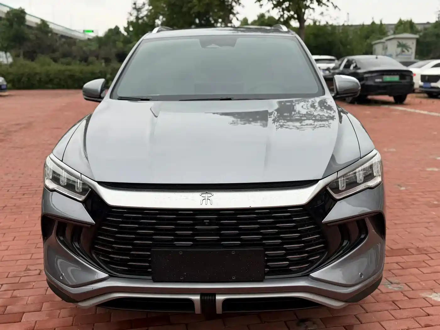 BYD Song Pro New Energy 2023 Champion Edition DM-i 110KM Excellence фото 2
