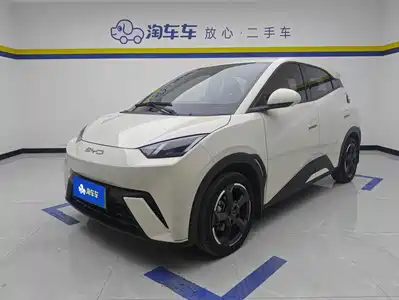 BYD Seagull