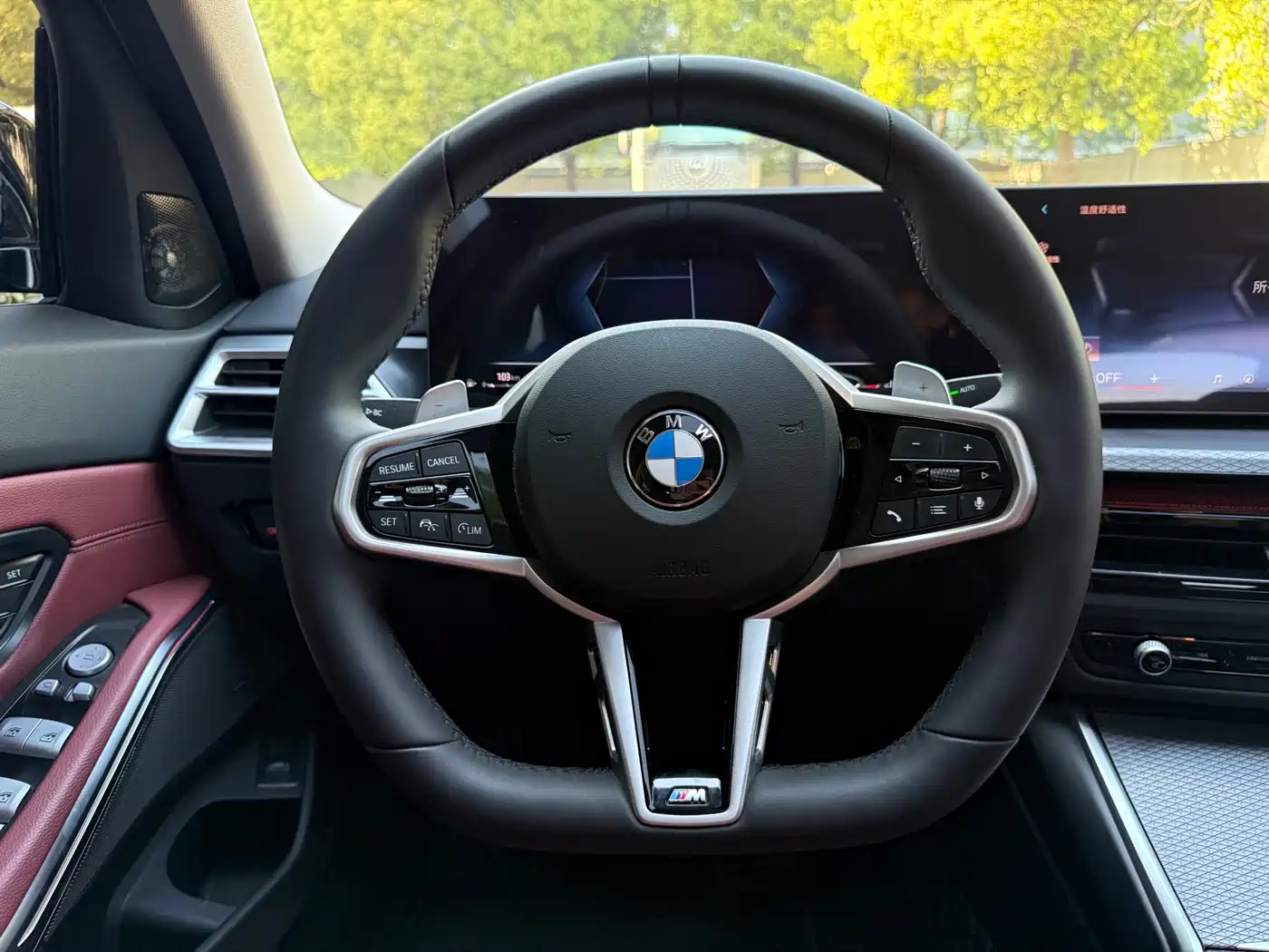 BMW 3 Series 2025 330Li M Sport Night Edition фото 14