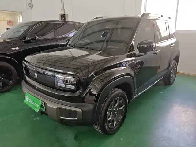 Baojun Baojun Yueye Plus 2026 301km Flagship