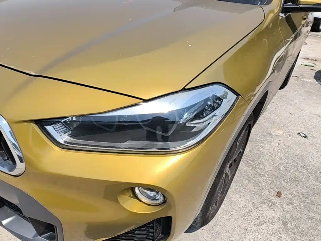 BMW X2 (Import) 2019 2019 sDrive20i M Off-Road Package China VI