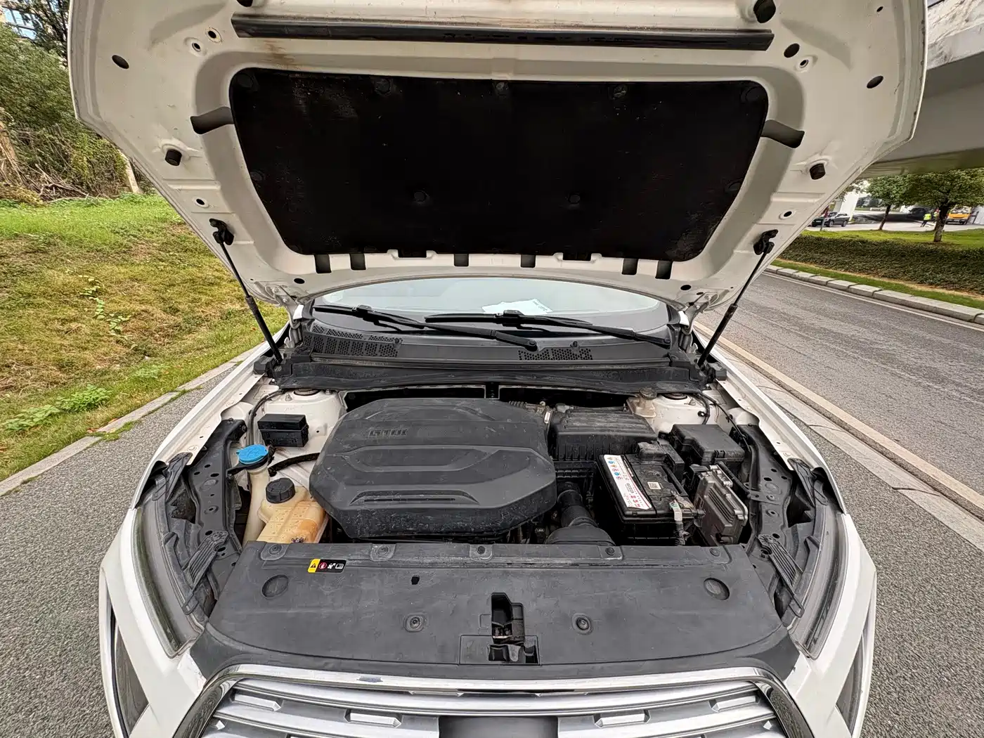 Landwind Rongyao 2020 2020 1.5GTDI Auto Smart·Glory