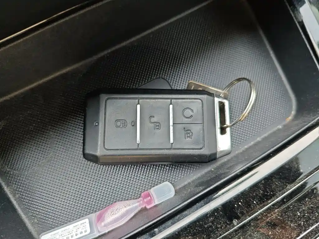 BYD Yuan New Energy 2019 EV535 Smart Connected Trend Leader Type фото 9