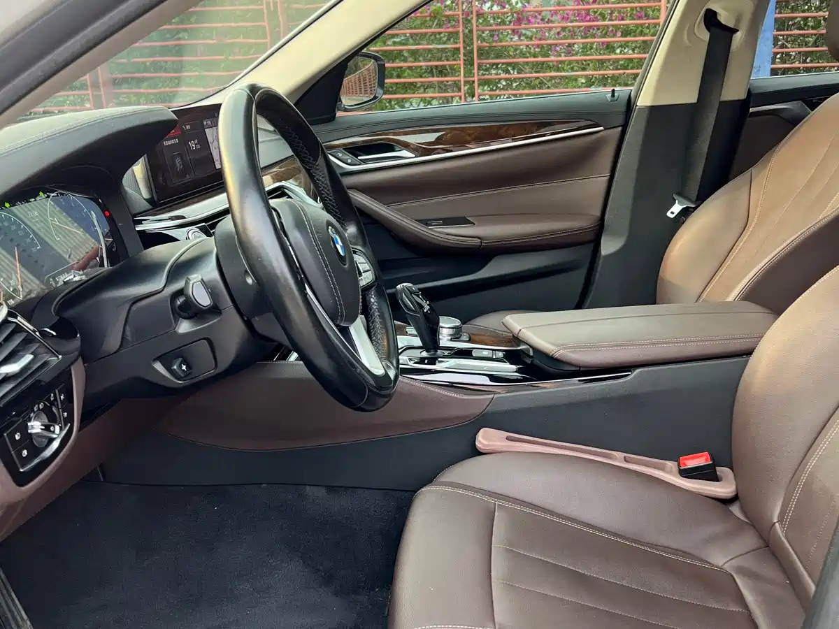 BMW 5 Series 2019 525Li Luxury Package фото 8