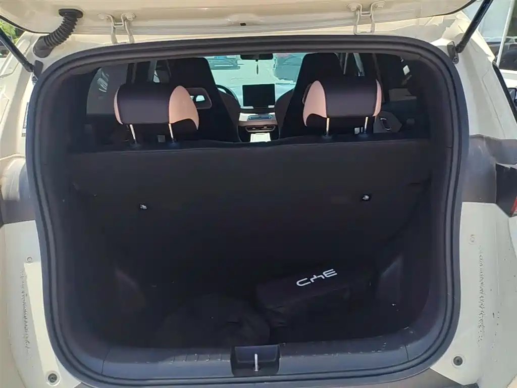 BYD Seagull 2025 305km Vitality фото 19