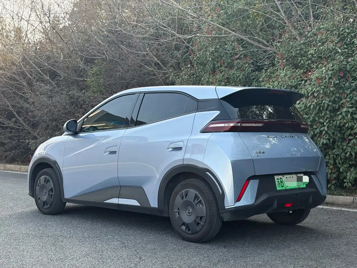 BYD Seagull 2024 Glory Edition 305km Vitality Edition фото 3