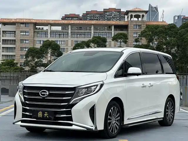 Trumpchi M8 Elegance Series, 390T, Максимум
