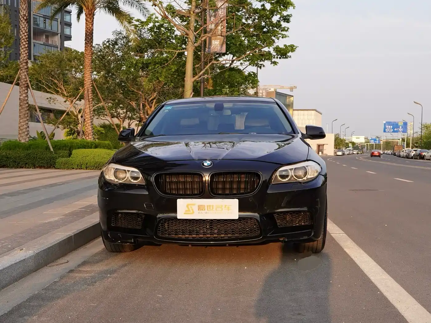 BMW 5 Series 2011 528Li Luxury фото 2
