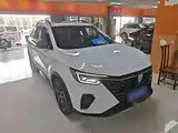 Фото 4 - Roewe RX5