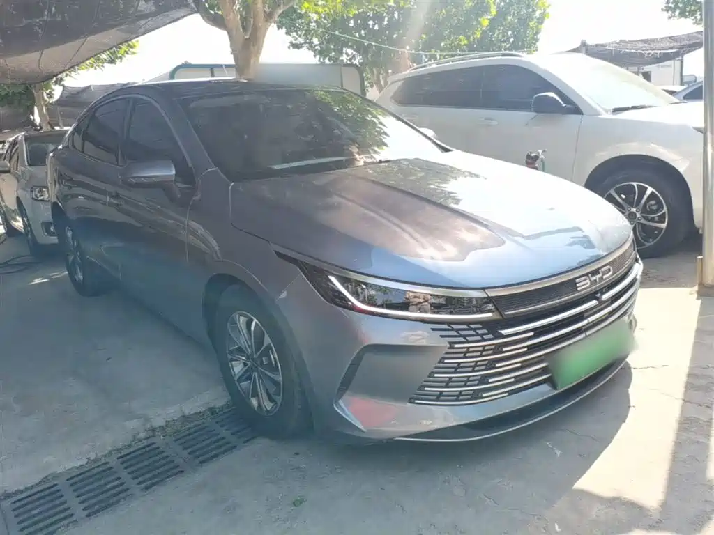 BYD Destroyer 05 2024 Glory Edition DM-i 55KM Luxury фото 4