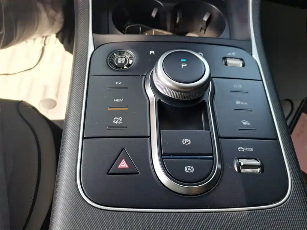 BYD Destroyer 05 2024 Glory Edition DM-i 55KM Luxury фото 14