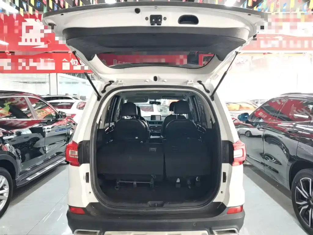 Dongfeng Fengxing Fengxing SX6 2020 2019 1.6L Manual Luxury China VI