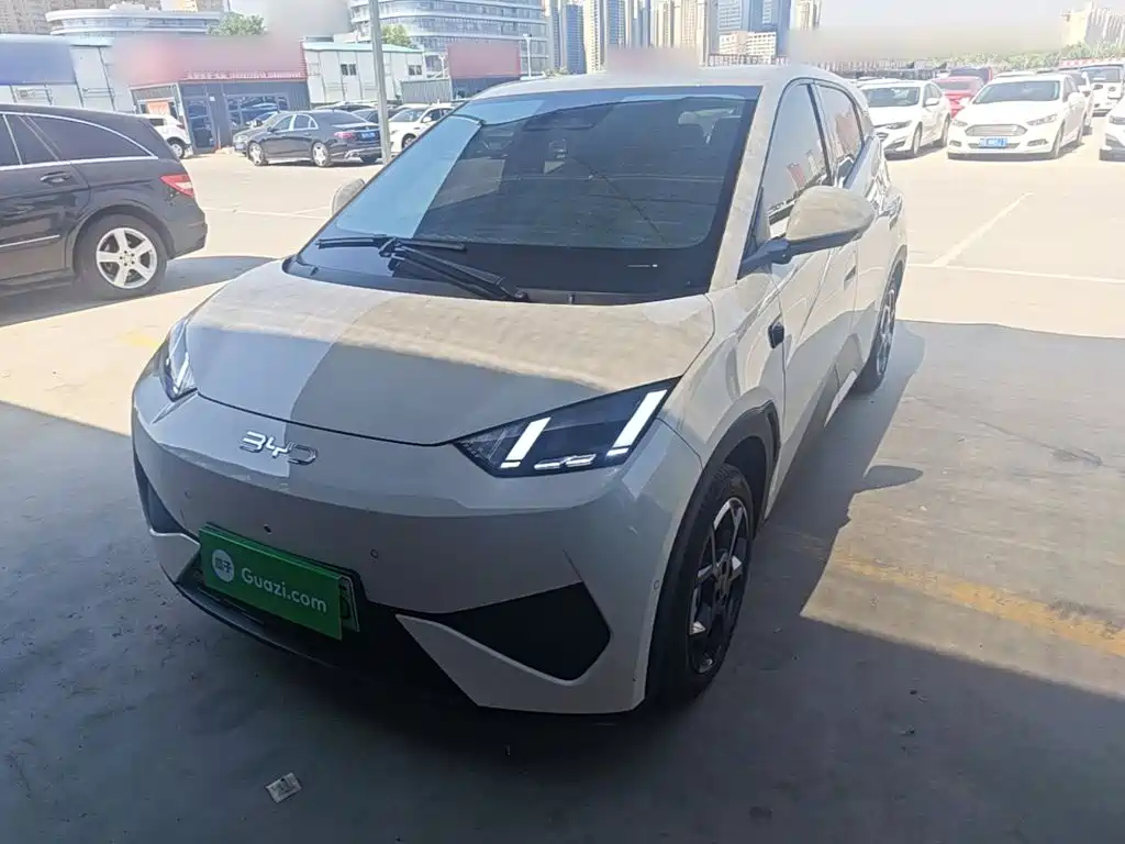 BYD Seagull 2025 Smart Drive Edition 305km Freedom Version