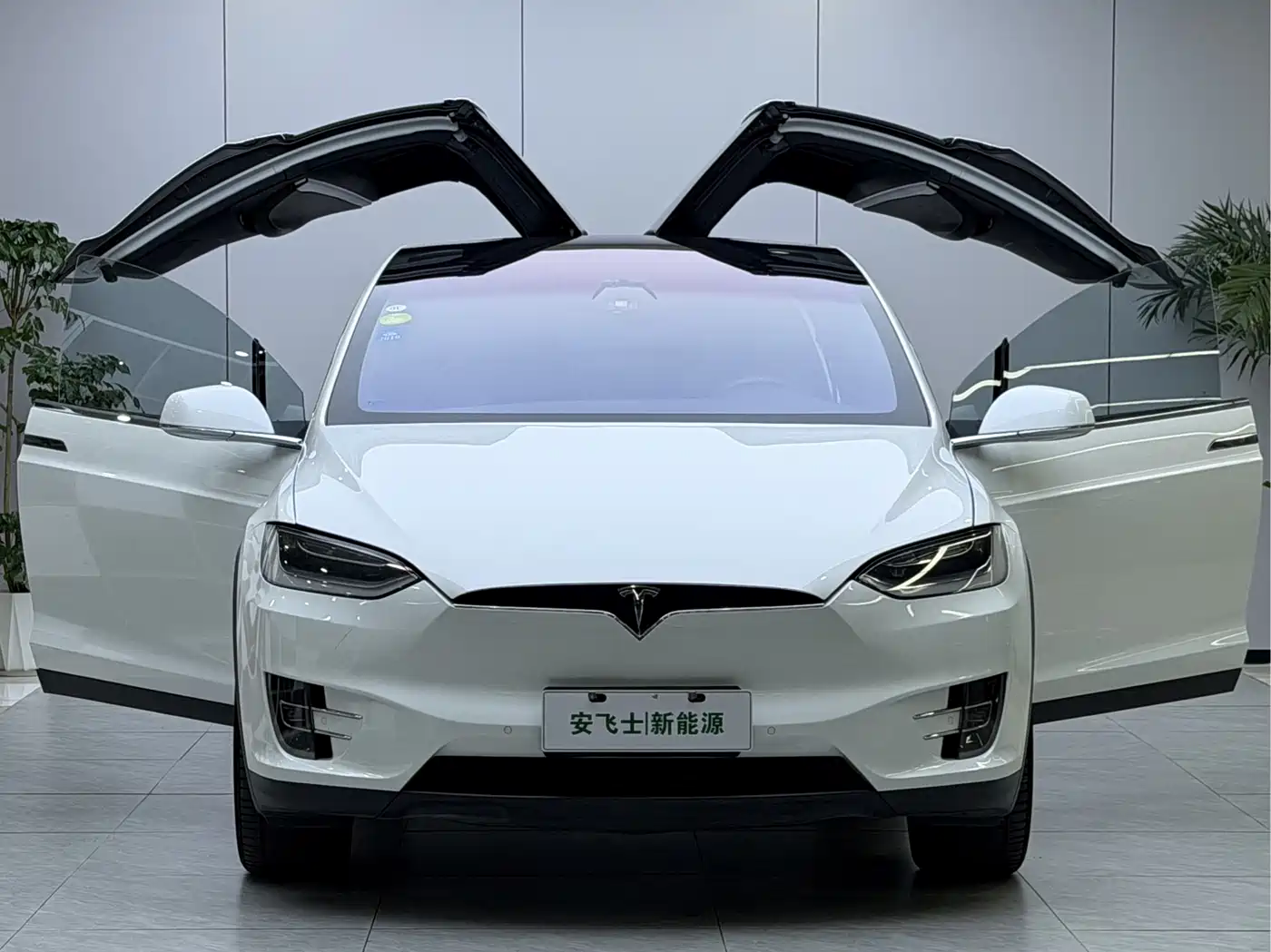 TESLA MODEL X